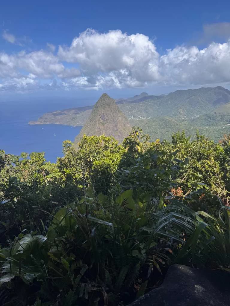 A Piton rising above the sea on the west coast of Saint Lucia, seen from a forested ridge above the coastline